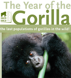 2009 year of the gorilla